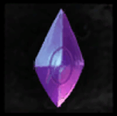 BauEXP